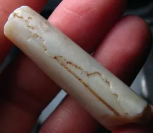 O&co Fossile pipe belemnite Coober Pedy australie collection cadeau noël 37.50ct - Imagen 1 de 4