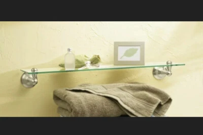 Moen Sage Inspirations 玻璃梳妆架 DN6890BN 拉丝镍饰面全新 50 美元 — 第 1/4 张图片