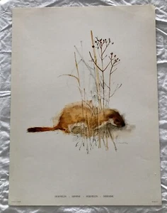 WUNDERSCHÖNER VINTAGE WILDLIFE TIER HERMINE KUNSTDRUCK AUS DÄNEMARK VON MADS STAGE - Bild 1 von 2