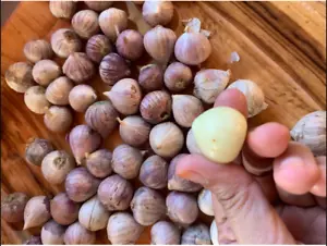 Bulbi singoli spicchio di garofano aglio solo, cimelio erbe Thailandia 500 g e 1 kg - Foto 1 di 9