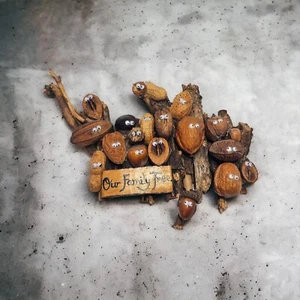 Unique Handmade Humor House Decor Our Family Tree - Picture 1 of 5
