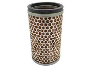 3705142M91 Agco Parts Innenluftfilter für Massey Ferguson Luftreinigungssysteme - Bild 1 von 1