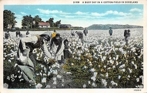 # G3075 POSTAL DIXIELAND, PICKING ALGODÓN - Imagen 1 de 2