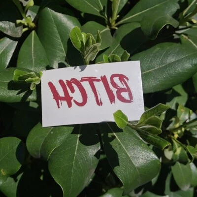 MARKENLOS Temporäres Tattoo Sexy Slut Frau Sex Geschlecht Sado Maso Strapse Strümpfe xxx