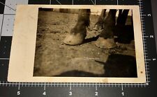 Weird 1900s HORSE FEET Hooves Odd Animal Legs Farm Animal Vintage RPPC PHOTO