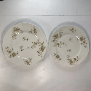 Antique Theodore Haviland Limoges France Plate lot of 2 c. 1895 Green & Gray 9” - Picture 1 of 7