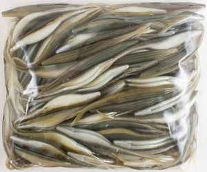 ZOOM SUPER FLUKE 100 PACK BULK 5.25" 023-106 ARKANSAS SHINER DN1302 - Picture 1 of 2