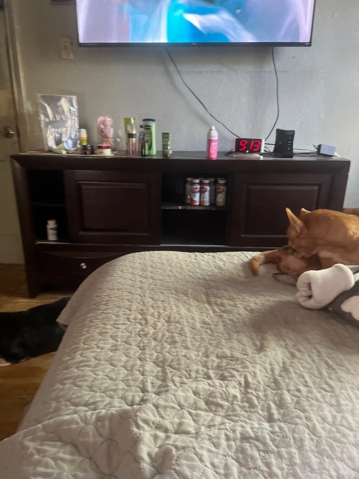 Consola chimenea ballena soporte de TV rústico - marrón cereza Foto 1 de 1