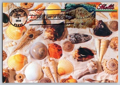 #3831i Pacific Coral Reef Triton's Trumpet FDC Maxi Card - Image 1 of 2