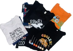 YOUTH Sz 5 To 6 BOYS LARGE LOT/16 SHIRTS TOPS CARTER TEMU ETC - Picture 1 of 15