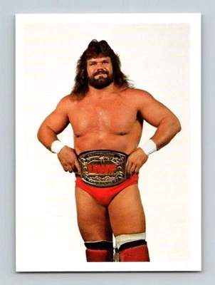 Dr. Death Steve Williams 1988 Wonderama NWA Wrestling RC Card #328 F/S - Image 1 of 2