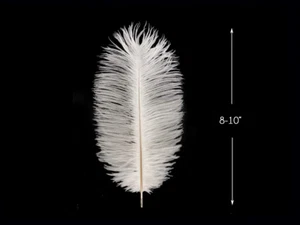 10 Piezas - 8-10" Blanqueado Blanco Avestruz Teñido Monótonos Plumas Boda Artesanía - Imagen 1 de 10