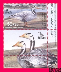 KYRGYZSTAN 2023-2024 Nature Fauna Bird of Year Bar-Headed Goose 1v+ Mi KEP 217 - Picture 1 of 1