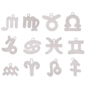 12pcs Charm Twelve Charm Zodiac Jewelry Charm 12 Star Signs Charms - Picture 1 of 12