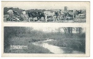 Antique B&W Postcard  House of David Benton Harbor, MI #1781 - Picture 1 of 2