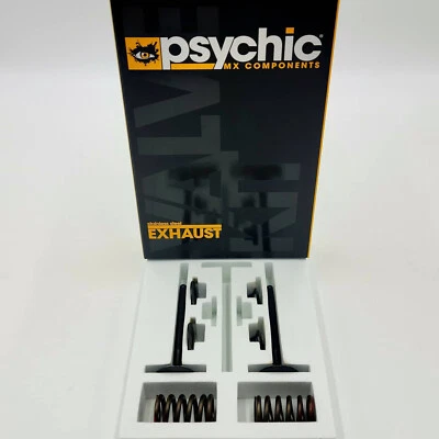 Exhaust Steel Valve & Spring Conversion Kit Fit YAMAHA XT225 2006 2007 - Изображение 1 из 3