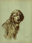 Vintage Otterhound Print Wall Art Decor 1938 K Barker Illustration 6261g