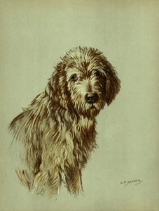Arte de pared con impresión de Otterhound vintage decoración 1938 K Barker ilustración 6261 g - Imagen 1 de 1
