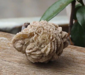 Large Raw & Rough Natural Desert Rose Crystal Piece 51 Grams Mineral - Imagen 1 de 6