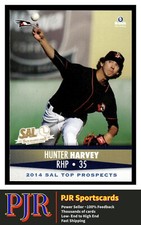 2014 Brandt South Atlantic League #13 Hunter Harvey Aberdeen IronBirds