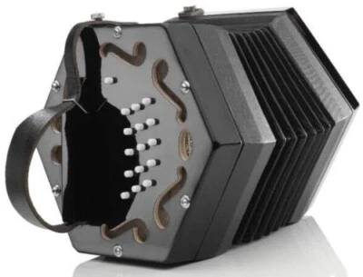 Cañas de acordeón Rochelle Anglo Concertina caja de compresión 5 años de garantía Foto 1 de 4