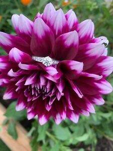 1.14 ctw Tiffany & Co. Platinum Round Diamond Channel Engagement Ring E/VS1 $12k