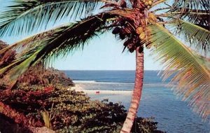 Jamaica - Bahía de San San - Publ. The Novelty Trading Co. 13150 - Imagen 1 de 2