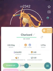 Pokemon Charizard RARE GO Level 30 - Picture 1 of 3