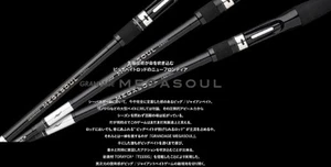 Apia Rod Baitcast Grandage Megasoul 63H+ (3093) - Imagen 1 de 6