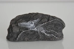 Medium Aquarium Rock with Dinosaur Impressions 12 x 3 x 5.5 cms - Picture 1 of 3