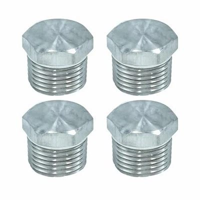 HFS(R) 4PCS Hex End Plug 3/8" NPT Male, Stainless Steel 304 Hex Head - Image 1 of 4