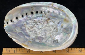 Large Abalone Green Pink 5.75" Seashell Beach Ocean Decor Smudging Bowl Trinket - Picture 1 of 5