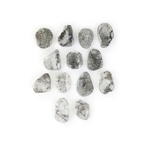 1.01 Ct Natural Loose Slice Diamond 3.05 MM Salt And Pepper Slice Diamond LQ3032 - Picture 1 of 8