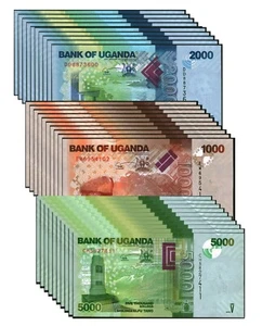 Dealer Lot 10X Sets Of 3 UNC Uganda 2021-2019 Banknotes Paper Money Bills#W15508 - Picture 1 of 2
