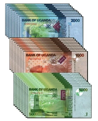 Dealer Lot 10X Sets Of 3 UNC Uganda 2021-2019 Banknotes Paper Money Bills#W15508 - Image 1 of 2