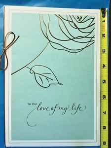 Tarjetas de CUMPLEAÑOS Hallmark, tamaño XL, todas felices cumpleaños con AMOR, para tu amor 2 - Imagen 1 de 30