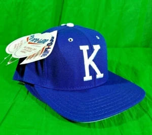 Vtg Kentucky Wildcats UK Pro Line TPX HAT Fitted Cap USA MADE PRO MODEL Sz 6 3/4 - Picture 1 of 7
