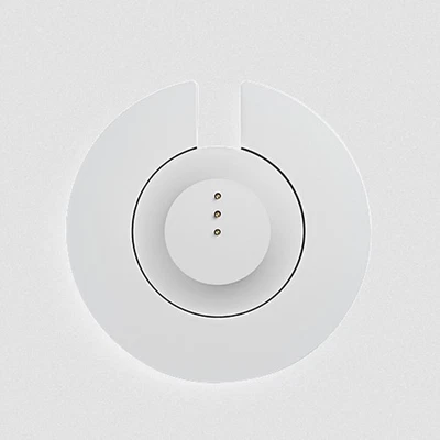 BOSE Portable Smart Speaker Ladeschale Ladestation - Luxe Silver - NEU und OVP - Bild 1 von 3