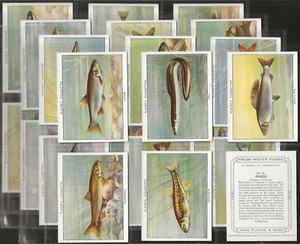 PLAYERS-FULL SET- FRESH WATER FISHES 1935 (L25 NON-ADHESIVE EIRE) EXCELLENT+++ - Picture 1 of 4