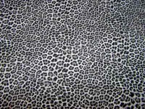 Wet Nose Designs BIG KITTY CAT COLLAR 5/8" Wide Wild Thing Snow Leopard Gray - Picture 1 of 7