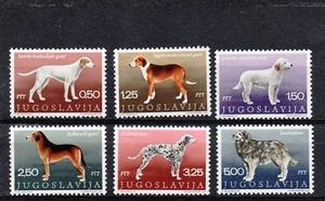 FX 03 JUGOSLAVIA 1970 - Cani - Animali - sei valori nuovi MNH - Yvert 1274/1279 - Imagen 1 de 1
