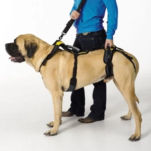 Help Em Up harness - Medium female - Picture 1 of 6