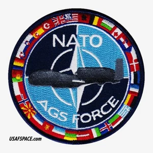 NATO AGS Alliance GROUND SURVEILLANCE FORCE-RQ-4D-GLOBAL HAWK- USAF VEL PATCH - Picture 1 of 8