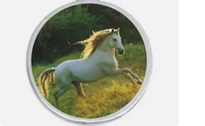 WHITE HORSE Photo Charm Black Leather Chain Cord Rope Silver Bracelet Women Men - Picture 1 of 6