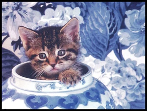 Grußkarte - Katze Kätzchen - jeder Anlass 0956 - Bild 1 von 2