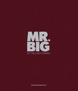MR.BIG Photo Book William Haymes Eric Martin Billy Sheehan Paul Gilbert Japan - Picture 1 of 1