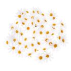  50 Pcs Kränze Blumenköpfe Künstliche Für Chrysanthemen Requisiten Zubehör