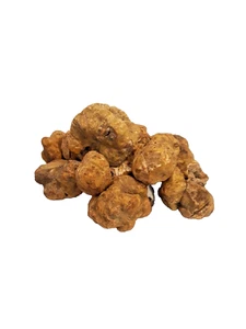 TARTUFO BIANCO FRESCO ITALIA III Scelta TUBER MAGNATUM PICO TARTUFI FRESCHI 100g - Foto 1 di 3