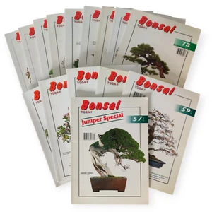 Bonsai Today Lot of 15 Magazines 1989-2002 - Picture 1 of 12