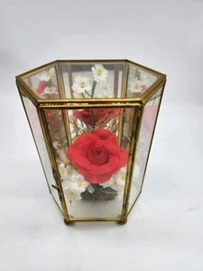 Mini gabinete de curiosidades hexagonal vitrina de latón de vidrio mesa 7,25" - Imagen 1 de 5